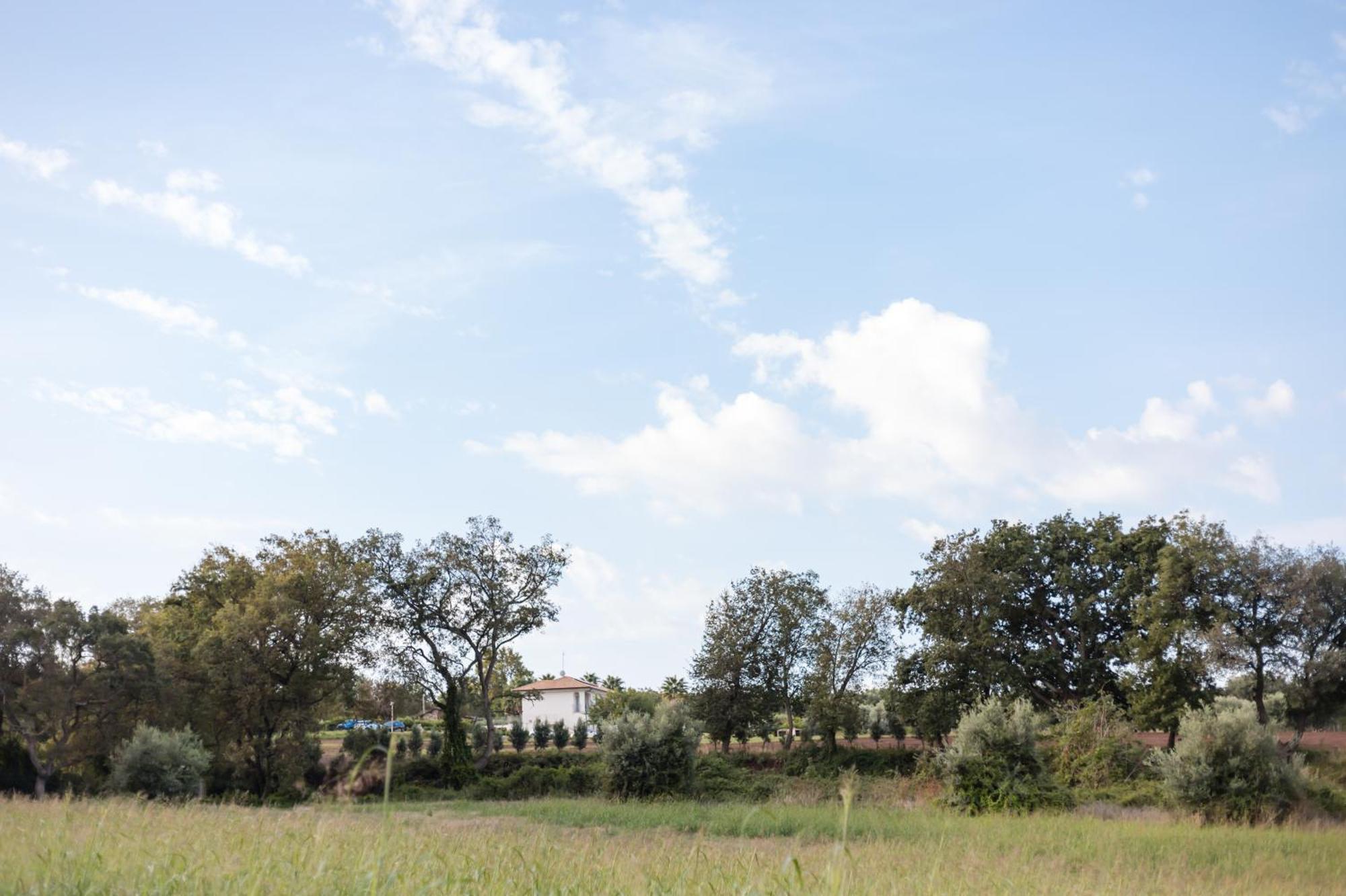 Villa Eirene Ricadi Exterior photo